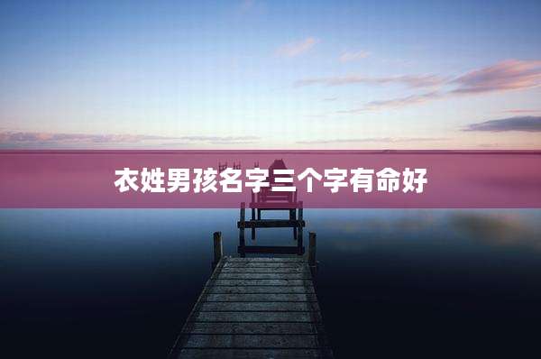 衣姓男孩名字三个字有命好