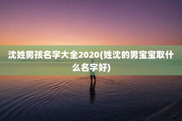 沈姓男孩名字大全2020(姓沈的男宝宝取什么名字好)