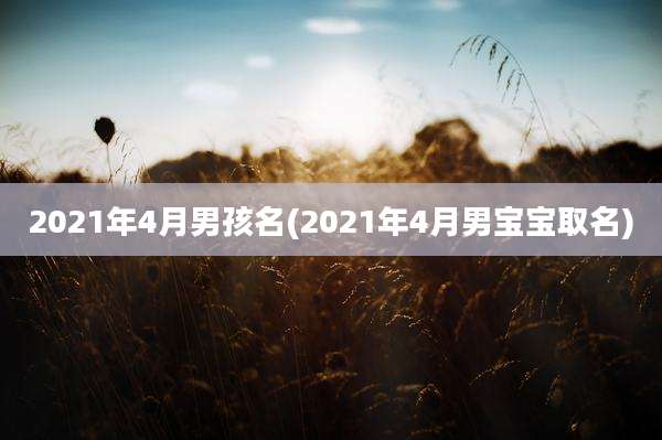 2021年4月男孩名(2021年4月男宝宝取名)