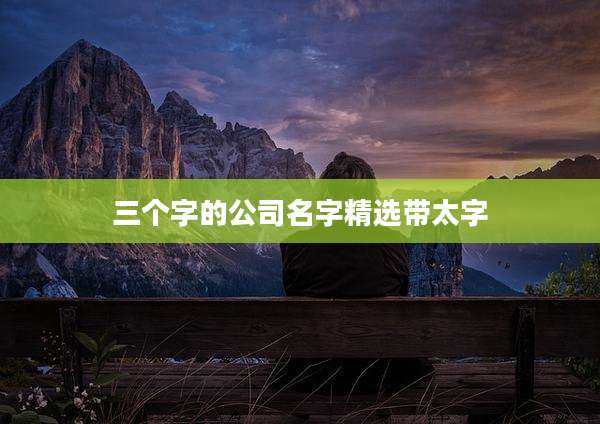 三个字的公司名字精选带太字