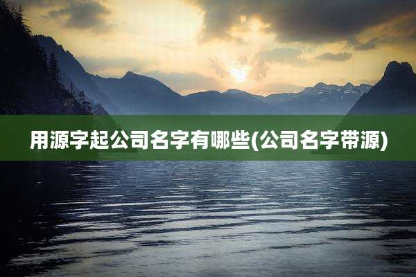 用源字起公司名字有哪些(公司名字带源)