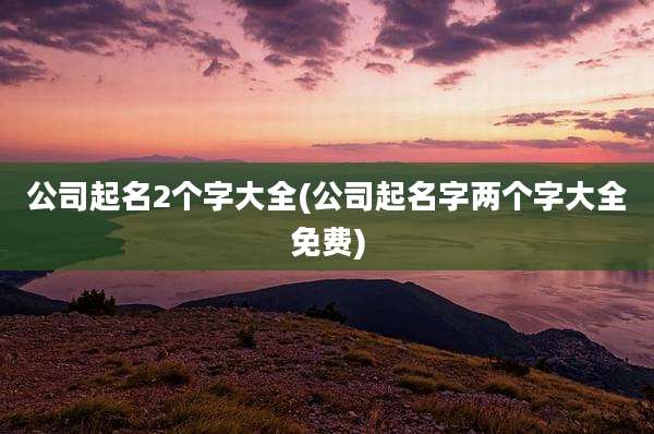 公司起名2个字大全(公司起名字两个字大全免费)