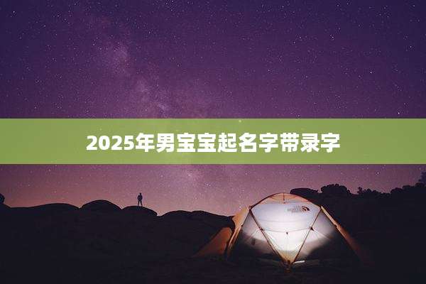 2025年男宝宝起名字带录字