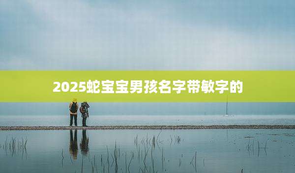 2025蛇宝宝男孩名字带敏字的
