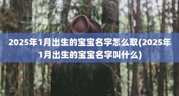 2025年1月出生的宝宝名字怎么取(2025年1月出生的宝宝名字叫什么)