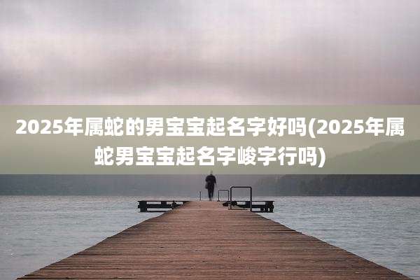 2025年属蛇的男宝宝起名字好吗(2025年属蛇男宝宝起名字峻字行吗)