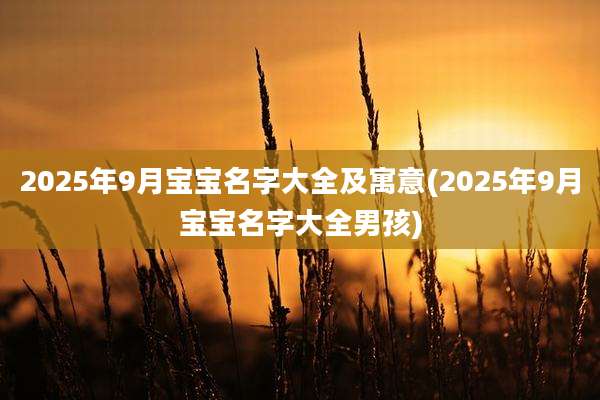 2025年9月宝宝名字大全及寓意(2025年9月宝宝名字大全男孩)