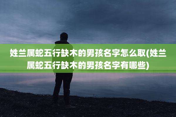 姓兰属蛇五行缺木的男孩名字怎么取(姓兰属蛇五行缺木的男孩名字有哪些)