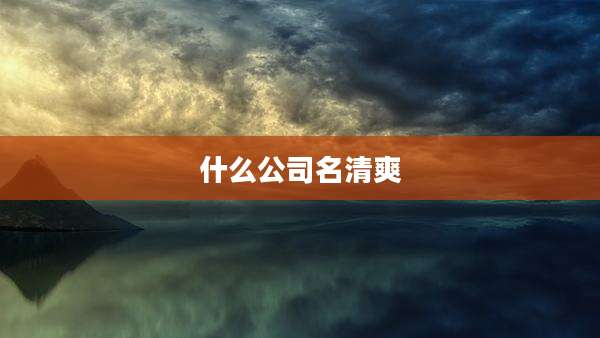 什么公司名清爽