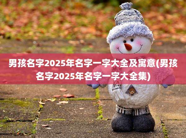 男孩名字2025年名字一字大全及寓意(男孩名字2025年名字一字大全集)