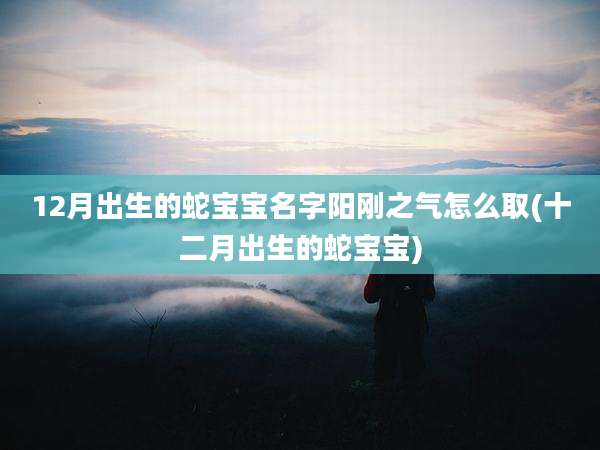 12月出生的蛇宝宝名字阳刚之气怎么取(十二月出生的蛇宝宝)