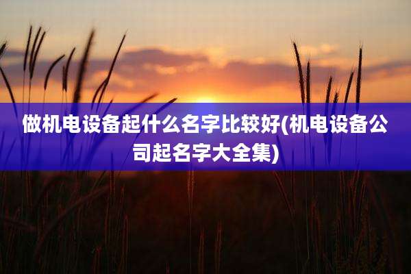 做机电设备起什么名字比较好(机电设备公司起名字大全集)