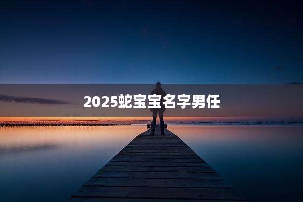 2025蛇宝宝名字男任