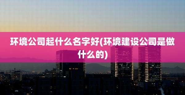 环境公司起什么名字好(环境建设公司是做什么的)