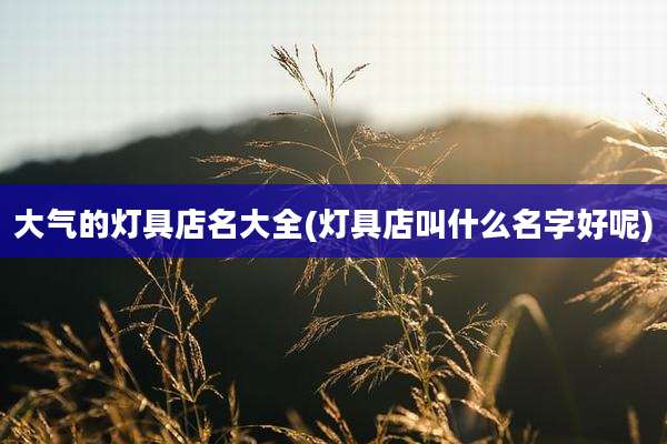 大气的灯具店名大全(灯具店叫什么名字好呢)