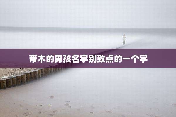 带木的男孩名字别致点的一个字