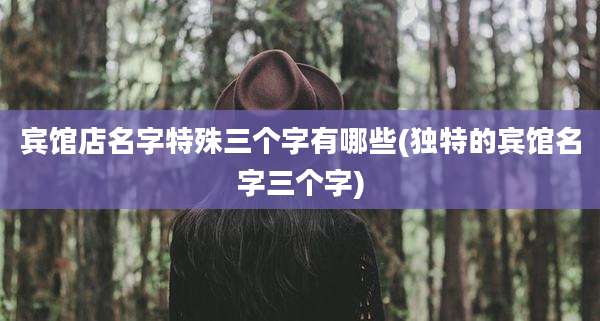 宾馆店名字特殊三个字有哪些(独特的宾馆名字三个字)