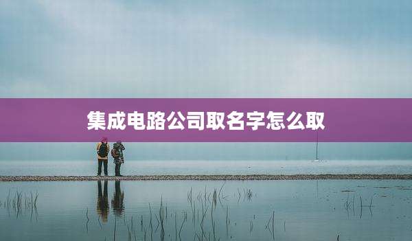 集成电路公司取名字怎么取