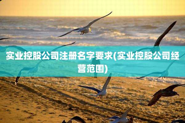 实业控股公司注册名字要求(实业控股公司经营范围)
