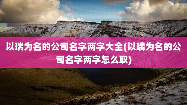 以瑞为名的公司名字两字大全(以瑞为名的公司名字两字怎么取)