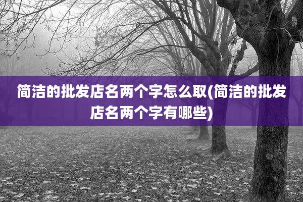 简洁的批发店名两个字怎么取(简洁的批发店名两个字有哪些)