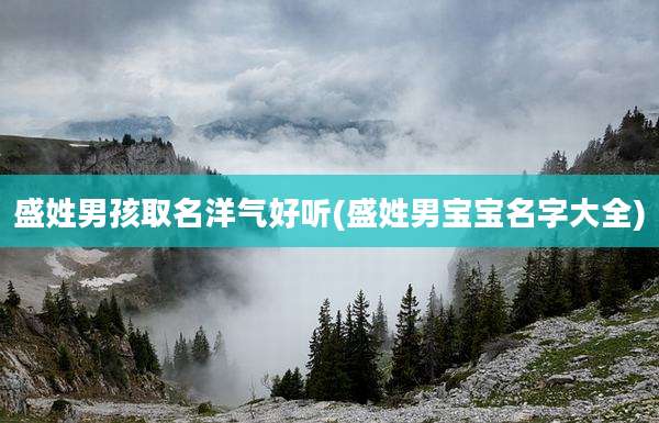 盛姓男孩取名洋气好听(盛姓男宝宝名字大全)