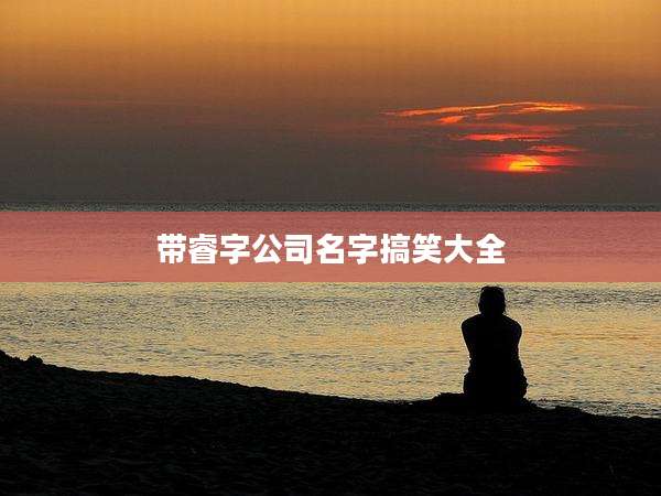 带睿字公司名字搞笑大全