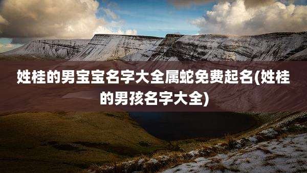 姓桂的男宝宝名字大全属蛇免费起名(姓桂的男孩名字大全)