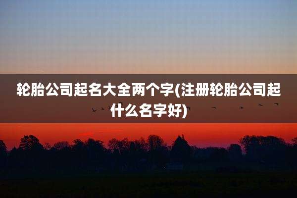 轮胎公司起名大全两个字(注册轮胎公司起什么名字好)