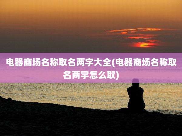 电器商场名称取名两字大全(电器商场名称取名两字怎么取)