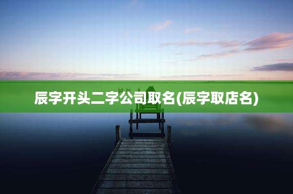 辰字开头二字公司取名(辰字取店名)