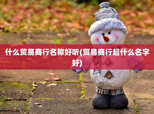 什么贸易商行名称好听(贸易商行起什么名字好)