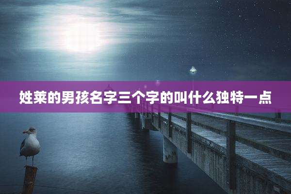 姓莱的男孩名字三个字的叫什么独特一点