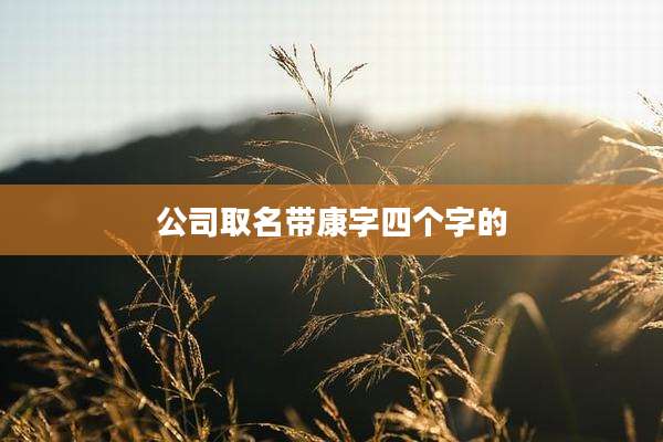 公司取名带康字四个字的
