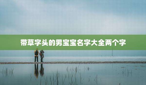 带草字头的男宝宝名字大全两个字