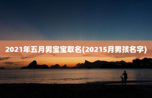2021年五月男宝宝取名(20215月男孩名字)