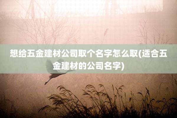 想给五金建材公司取个名字怎么取(适合五金建材的公司名字)