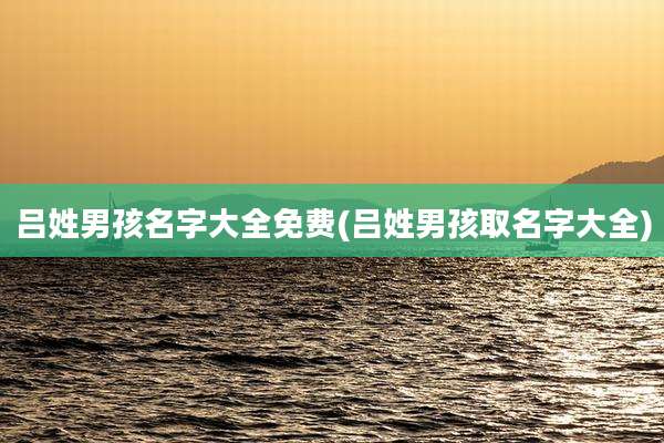 吕姓男孩名字大全免费(吕姓男孩取名字大全)