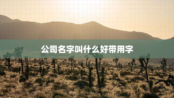 公司名字叫什么好带用字