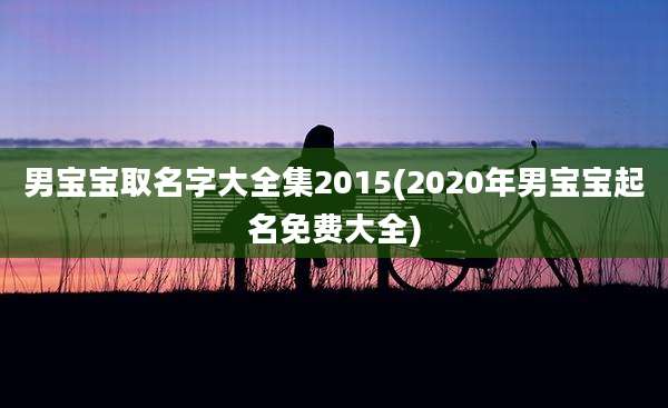 男宝宝取名字大全集2015(2020年男宝宝起名免费大全)