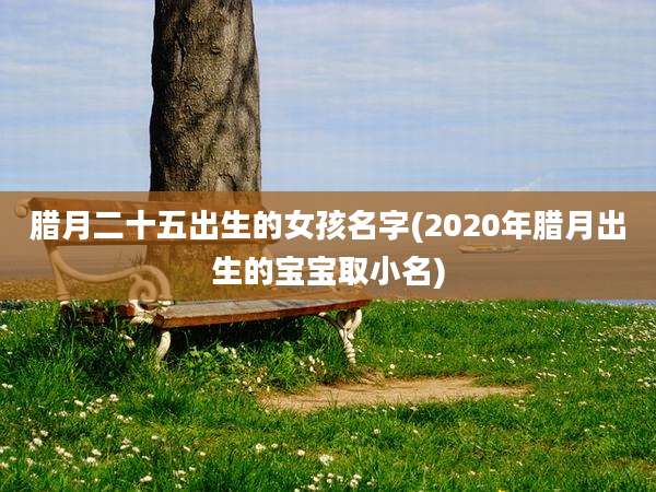 腊月二十五出生的女孩名字(2020年腊月出生的宝宝取小名)