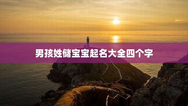 男孩姓储宝宝起名大全四个字