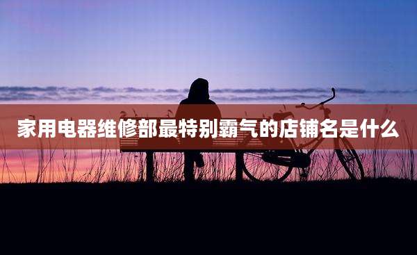 家用电器维修部最特别霸气的店铺名是什么