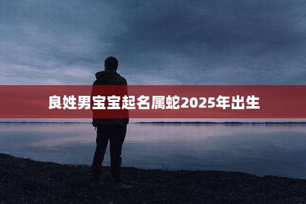 良姓男宝宝起名属蛇2025年出生