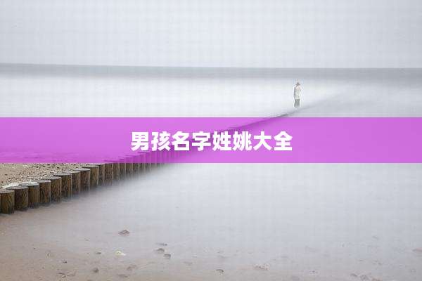 男孩名字姓姚大全