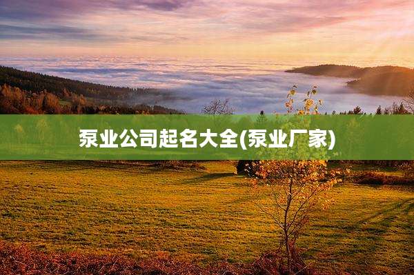 泵业公司起名大全(泵业厂家)