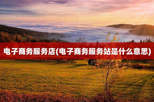 电子商务服务店(电子商务服务站是什么意思)