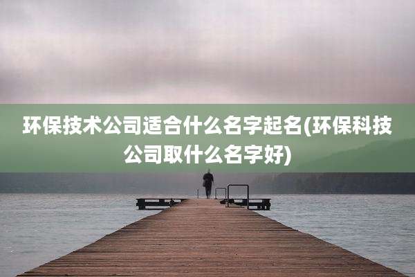 环保技术公司适合什么名字起名(环保科技公司取什么名字好)
