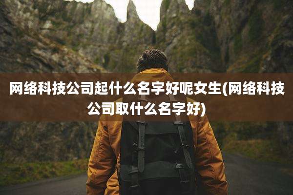网络科技公司起什么名字好呢女生(网络科技公司取什么名字好)