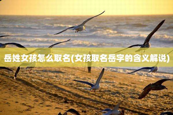 岳姓女孩怎么取名(女孩取名岳字的含义解说)